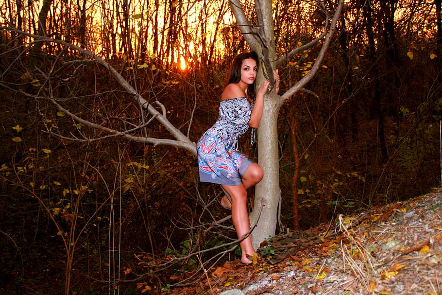 woman in gray and pink off-shoulder mini dress sitting on brown tree branch under clear sky during daytime, HD wallpaper