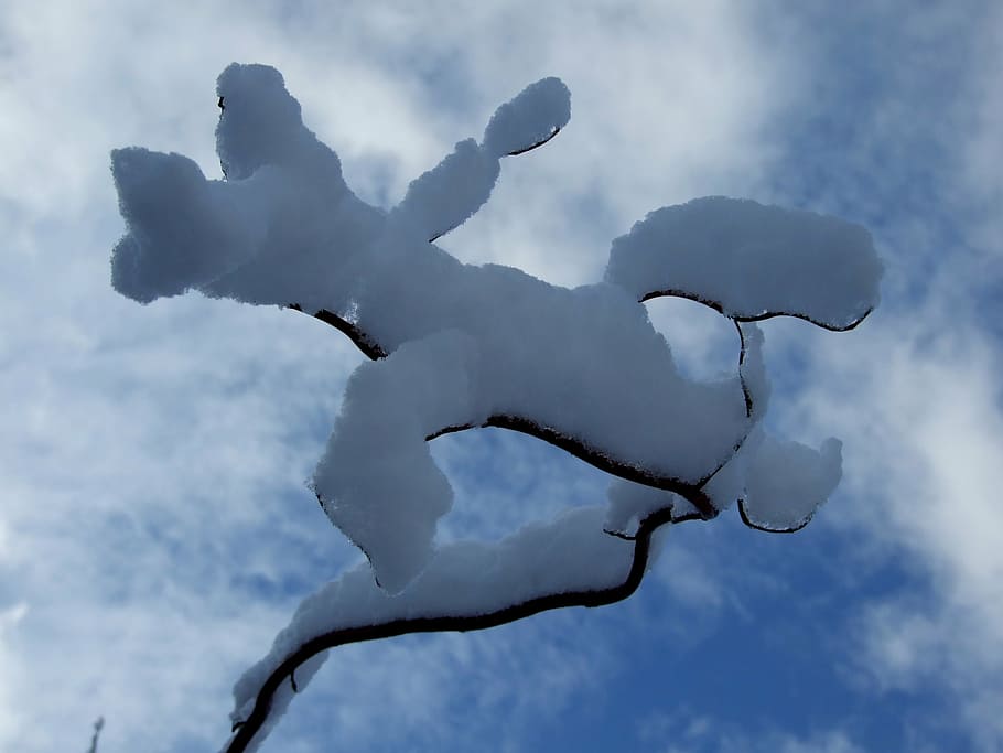 winter, snow, garden, sky, cloud - sky, no people, low angle view HD wallpaper