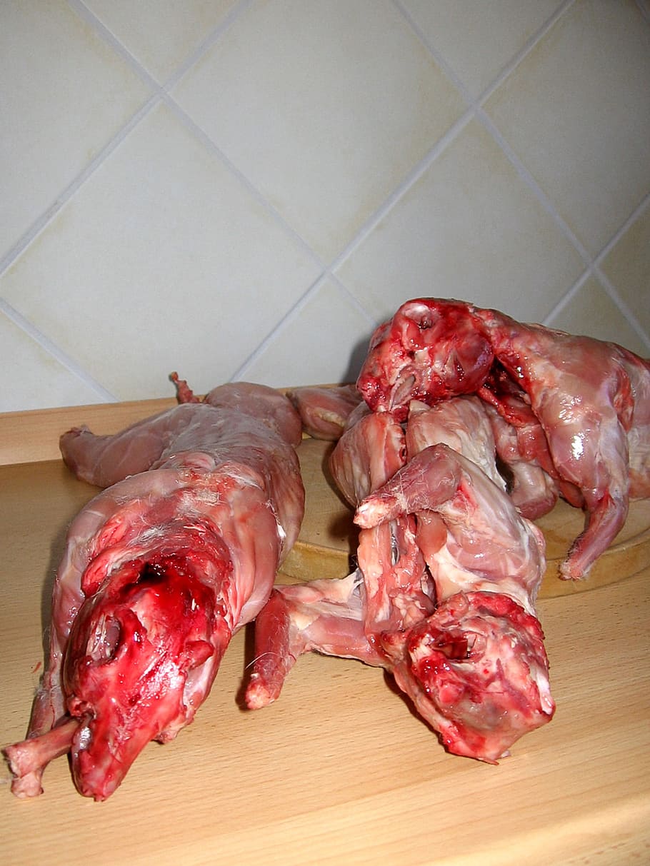 raw meats, hare, rabbit, nager, easter, easter bunny, battles HD wallpaper