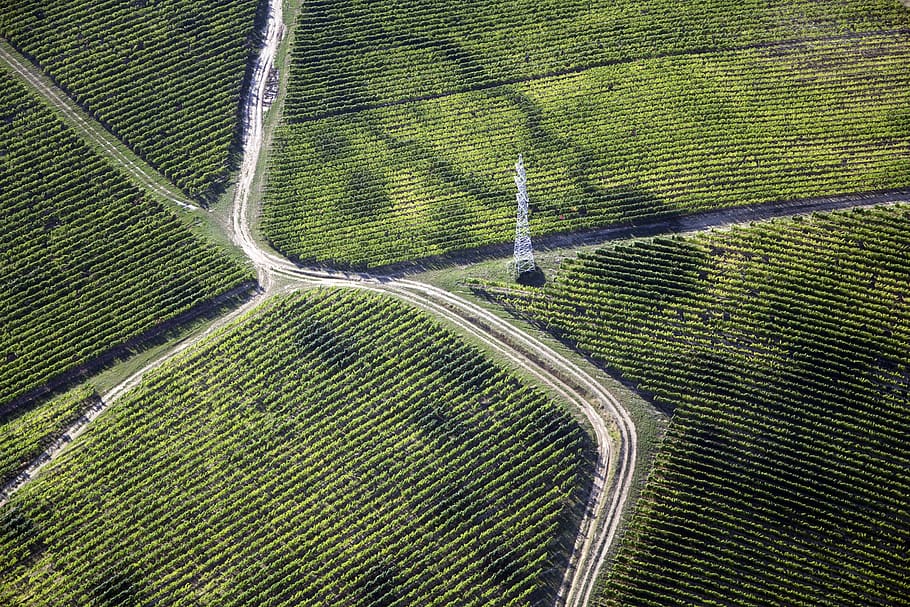 aerial view of grass field, baranya, villány, grape, plantation, HD wallpaper