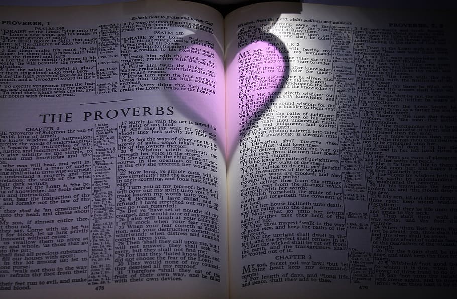 white and black book, bible, proverbs, heart, purple, pink, shadow