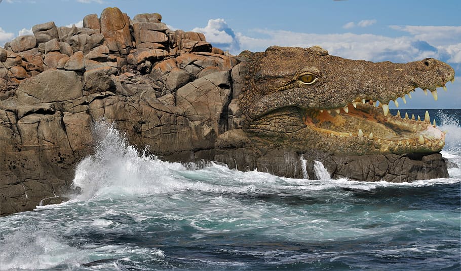 crocodile-themed rock formations during daytime, reptile, lizard HD wallpaper