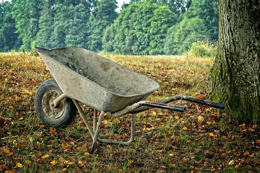 gray wheelbarrow near tree, Sliding, Work, Craft, sliding barrow HD wallpaper