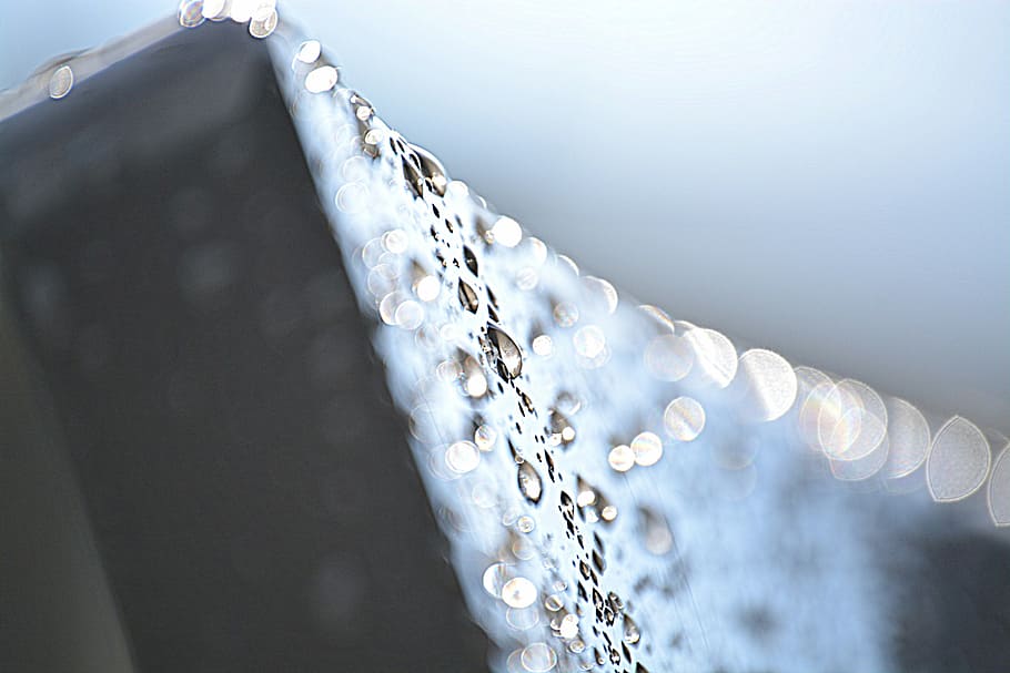 Raindrop, Drip, Macro, Close, Beaded, cold temperature, winter HD wallpaper