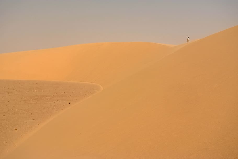 dune, sahara, desert, sand dune, land, scenics - nature, landscape HD wallpaper