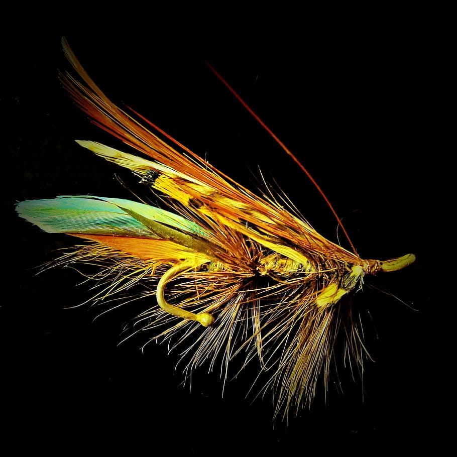 brown and blue fly lure, salmon fly, fantasy, brooch, jewelry fly, HD wallpaper