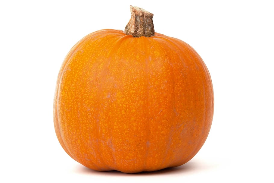 orange pumpkin, autumn, fall, food, fresh, gourd, halloween, harvest