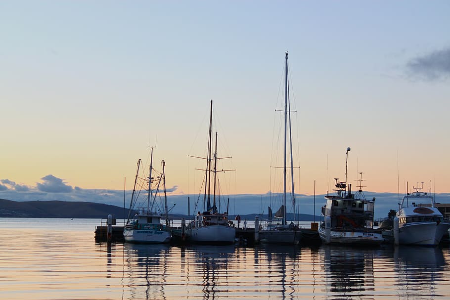 five boats on calm body of water near dock, hobart, harbor, sunrise