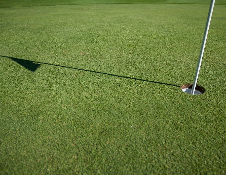 golf course, green grass field with golf ball hole, putting, flag