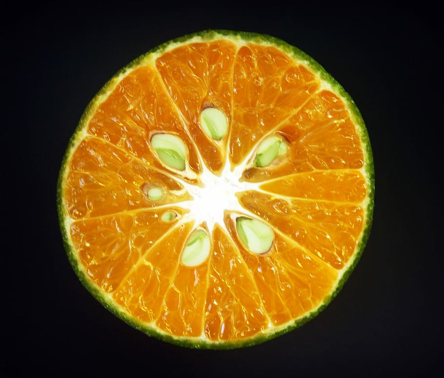 Orange, Fruit, Slice, White, Citrus, sour, isolated, agriculture HD wallpaper