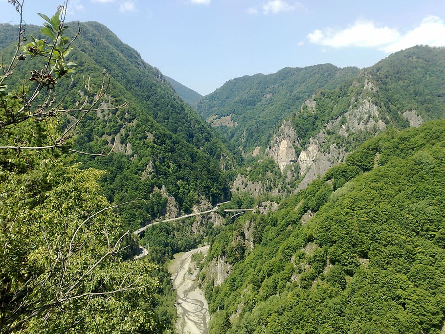 Mountain, Romania, Transfagarasan, green color, tree, scenics, HD wallpaper
