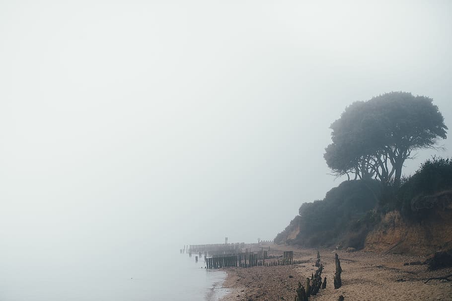 sea during foggy day, wide angle photo of shore, Beach, mist HD wallpaper
