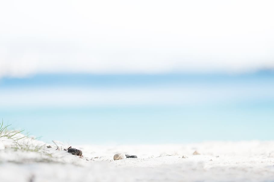 white shore under sunny sky, gray and black stones on white sand near seashore in tilt photography, HD wallpaper