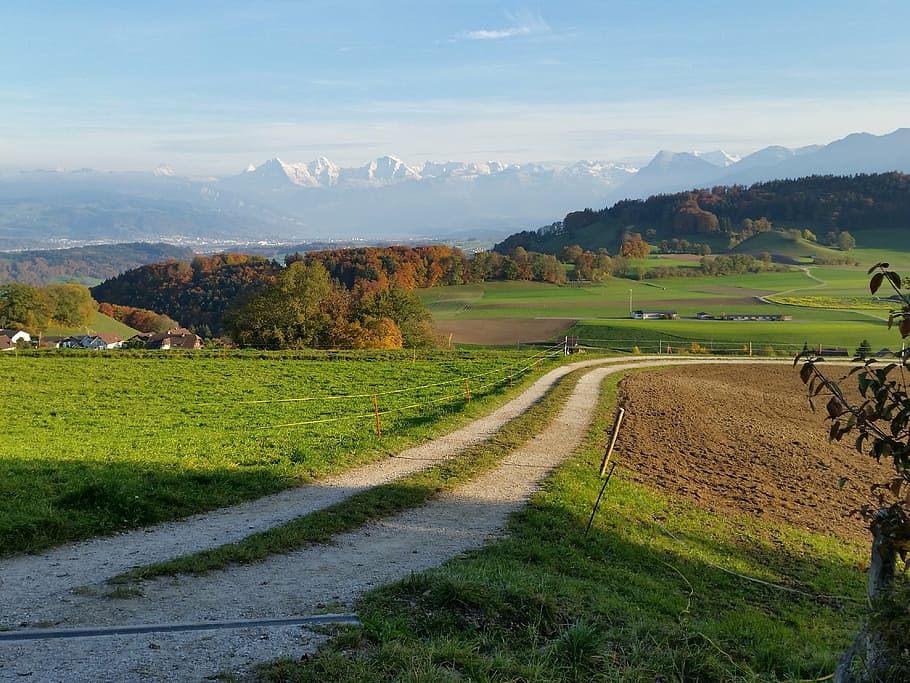 path, mountains, autumn, landscape, nature, countryside, green HD wallpaper