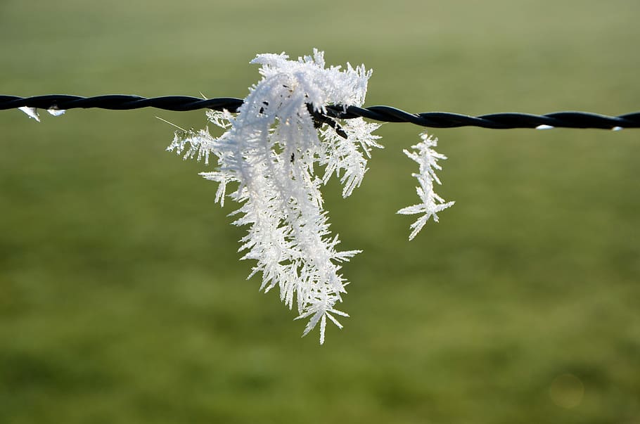 season, ice, close-up, focus on foreground, no people, cold temperature HD wallpaper
