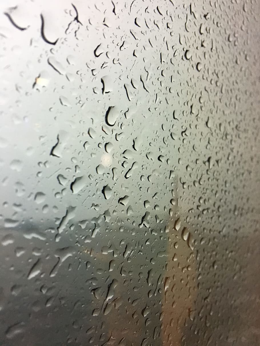 non, window, glass, wet, drop, rain, glass - material, water HD wallpaper
