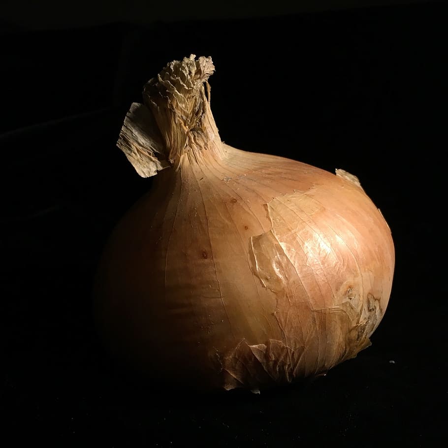 black, low key, onion, vegetable, drop out black, dark, dramatic HD wallpaper