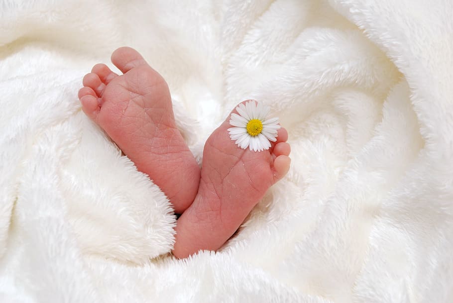 person's feet with white daisy on left foot, baby, birth, child