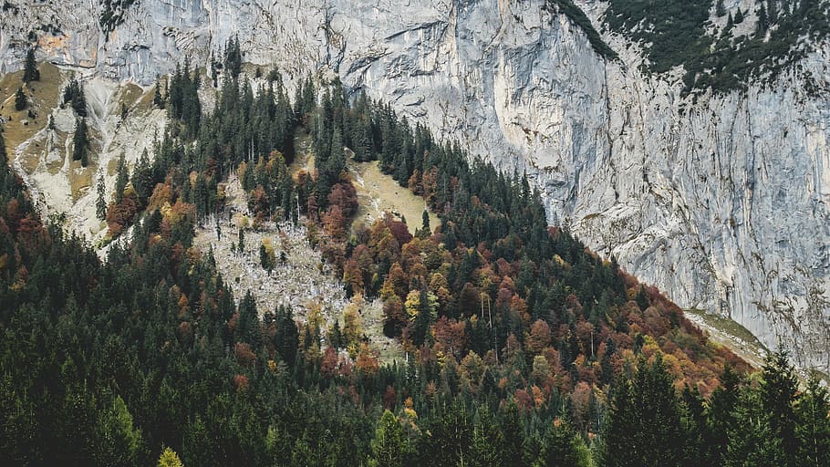 green forest near mountain during daytime, aerial photography of mountain and trees during daytime HD wallpaper