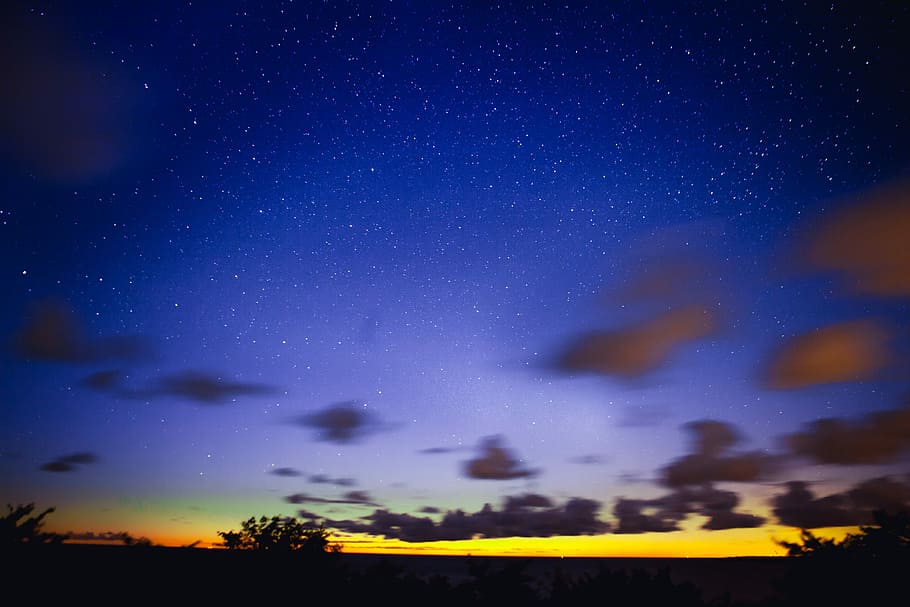 blue night sky with stars above plain, silhouette of trees, darkness HD wallpaper