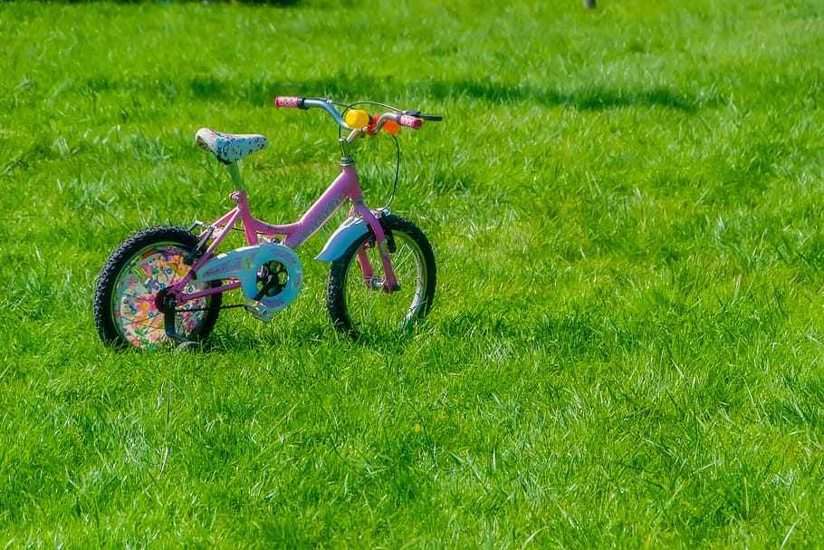 pink and teal bike on grasss, bicycle, child, baby, kids bike, HD wallpaper