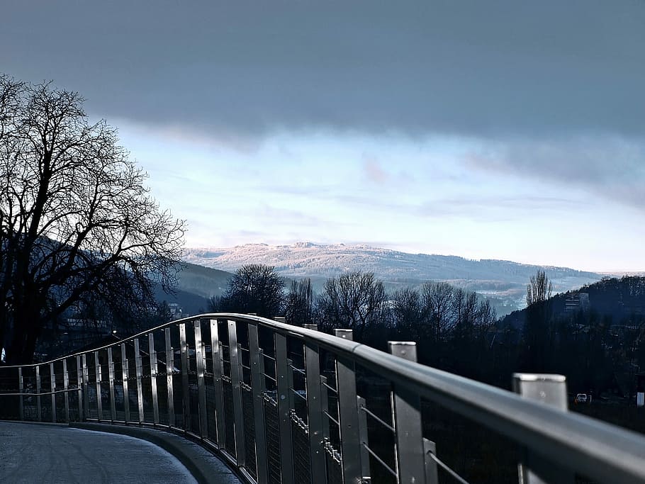 Plant, Nature, Live, bridge - man made structure, cloud - sky HD wallpaper