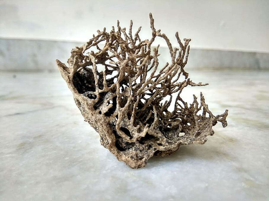 nature sculp, termite made, mobile click, close-up, no people HD wallpaper