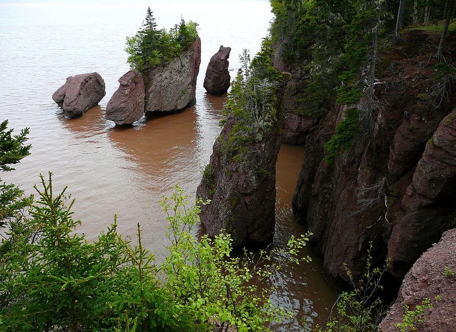 rock formations on body of water, hopewell rocks, bay of fundy