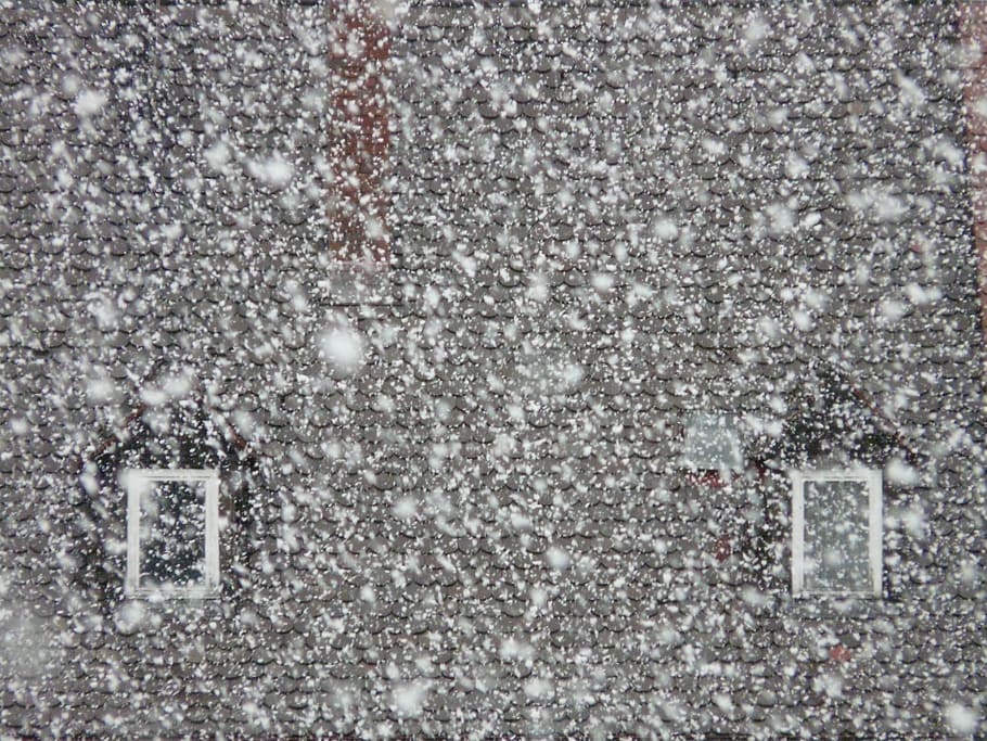 snowfall, snowflakes, blizzard, winter, winter dream, cold HD wallpaper
