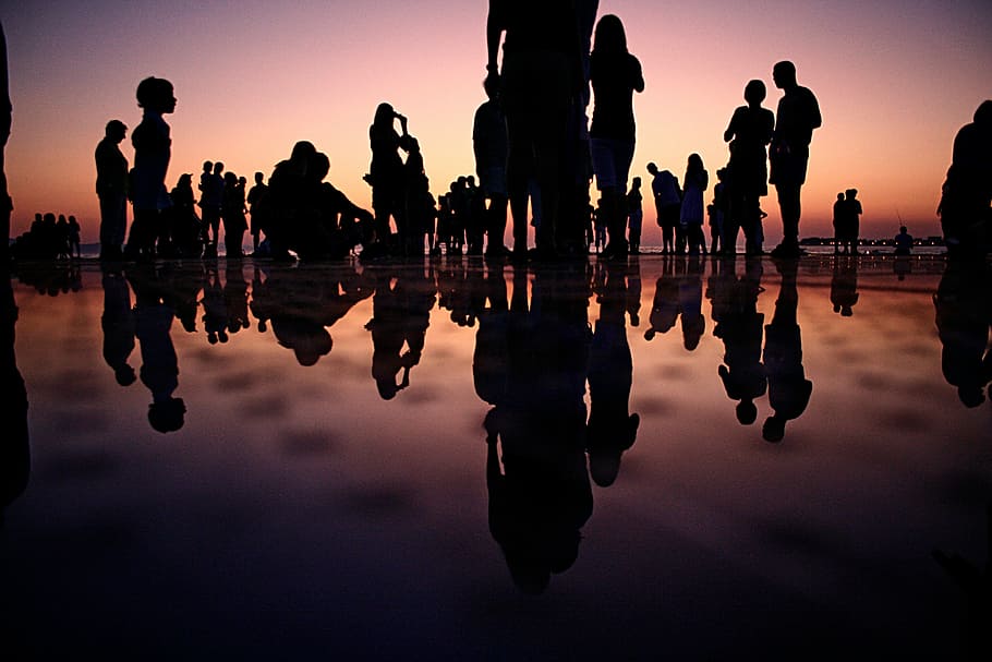 silhouette of people standing during golden hour, sunset, back Lit HD wallpaper