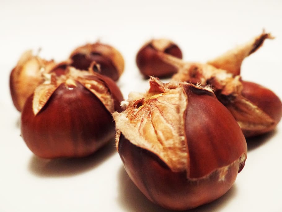 five brown hazelnuts on white surface, Chestnut, Chestnuts HD wallpaper