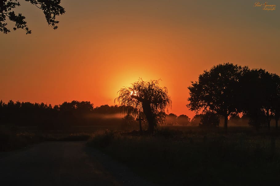 Sunset, Orange, Landscape, colorful sunset, evening, trees HD wallpaper