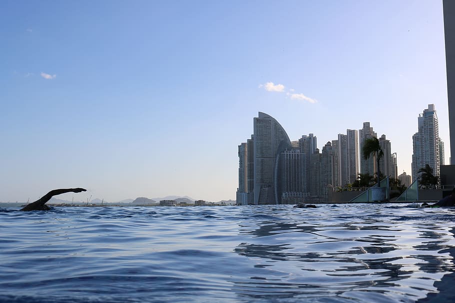 City of water. Море и небоскребы фото.