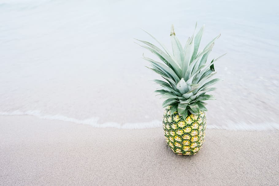 photography of pineapple fruit beside seashore during daytime, pineapple on beach shore HD wallpaper