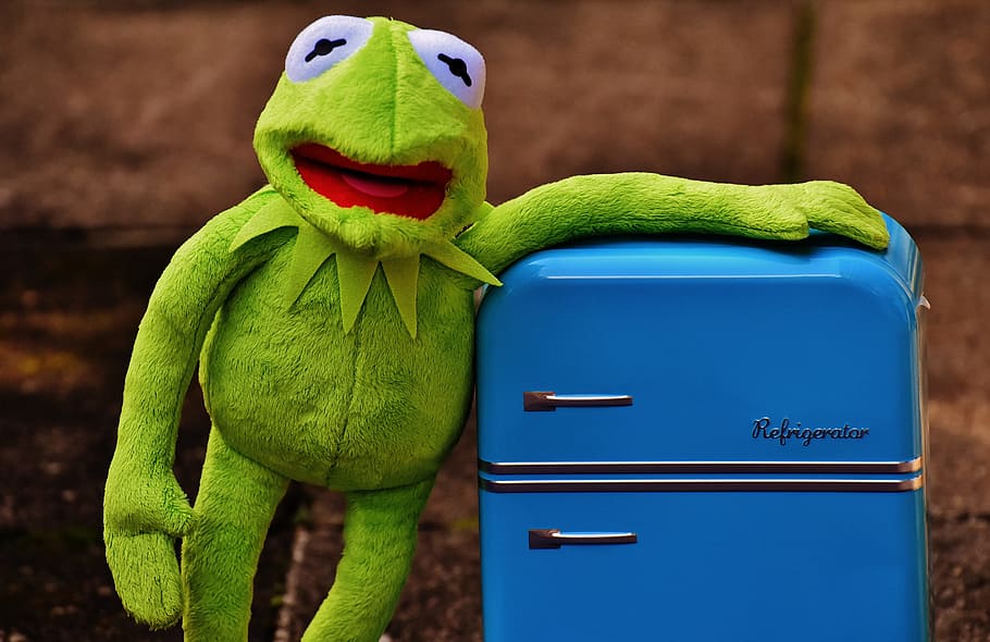 kermit, frog, refrigerator, funny, retro, green, toys, soft toy HD wallpaper
