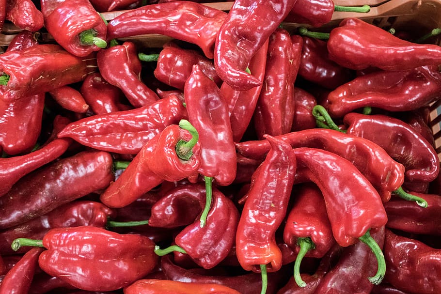 comanche, vegetables, peppers, horta, nature, plants, spicy HD wallpaper