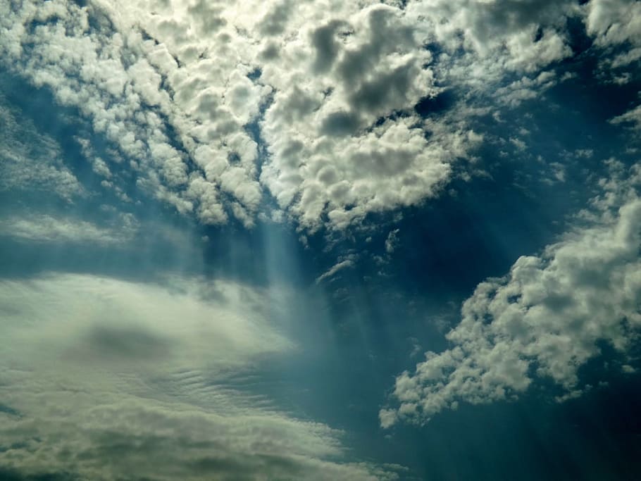 cloud, sky, white, blue, fluffy, cloud - sky, beauty in nature HD wallpaper