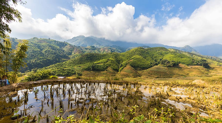 nature, landscape, sky, mountain, water, environment, plant HD wallpaper