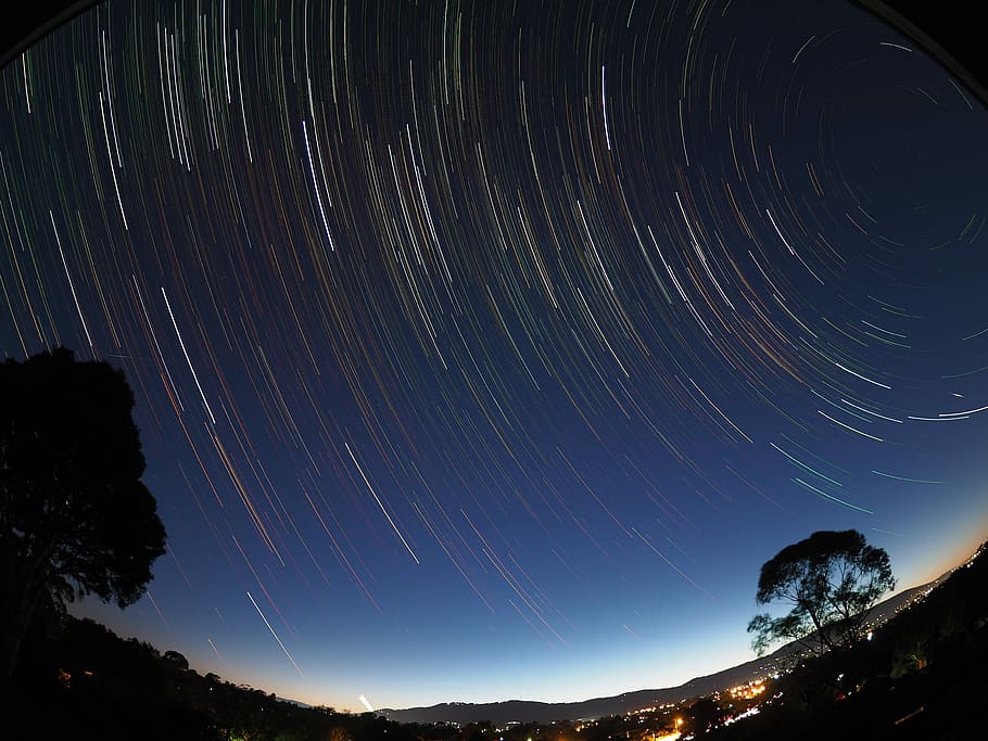 starry sky time lapse photo, time-lapse photography of stars with silhouette of trees HD wallpaper