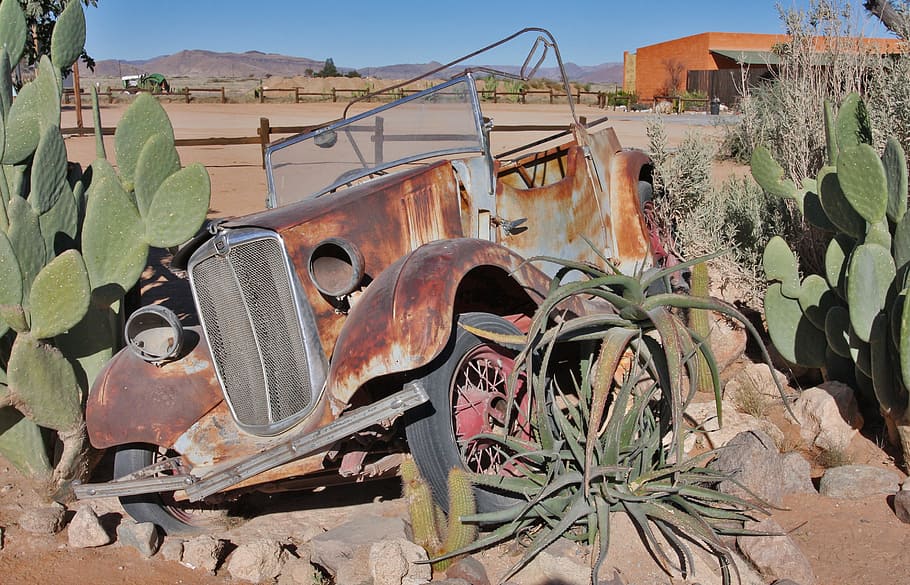 Namibia, Old Car, Cactus, Rust, abandoned, color Image, rusty HD wallpaper
