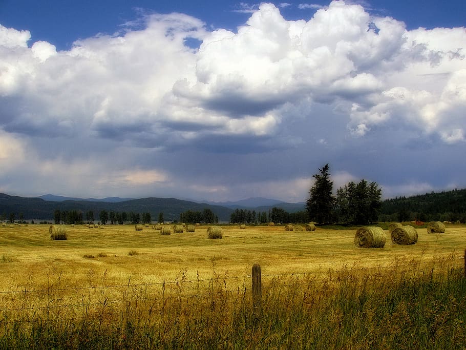 hayfield, thunderstorm, clouds, sky, scenery, landscape, cloud - sky HD wallpaper