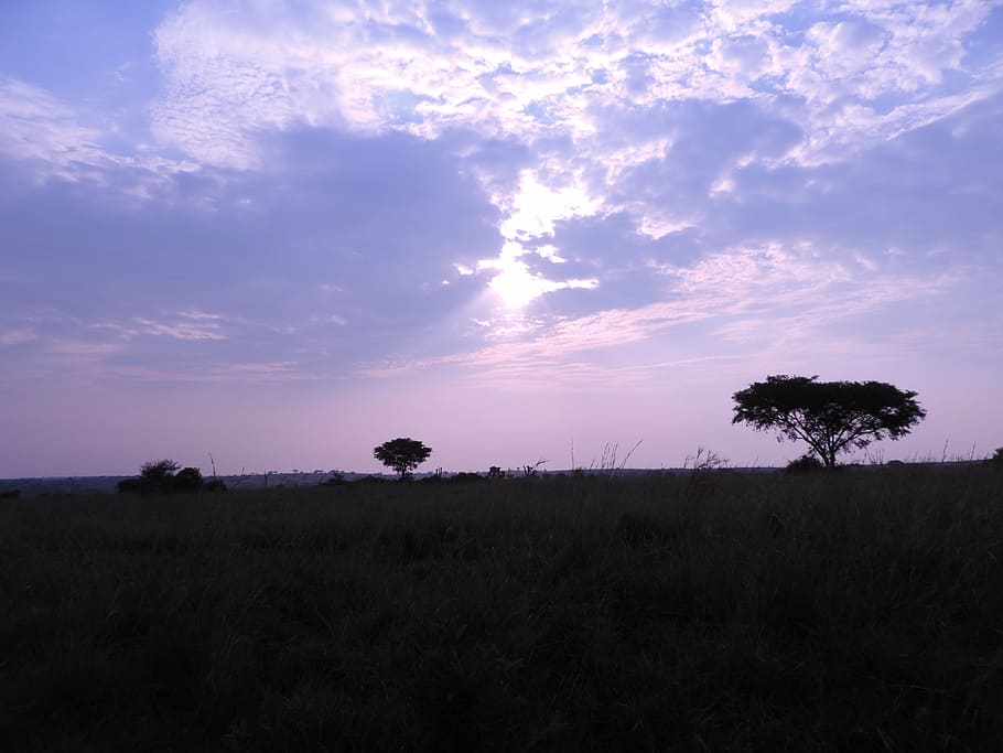 uganda, twilight, landscape, sky, plant, beauty in nature, cloud - sky HD wallpaper