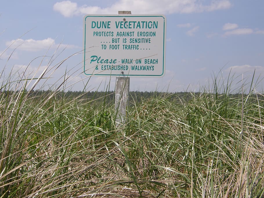 sign, coast, beach, summer, dune, grass, growth, plant, text HD wallpaper