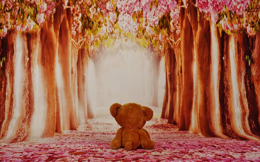 brown bear plush toy between trees, miss, teddy, sad, soft toy HD wallpaper
