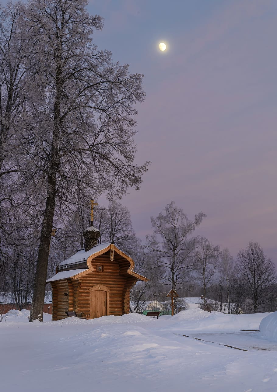 Evening, Winter, Landscape, Nature, sunset, trees, russia, beautiful HD wallpaper