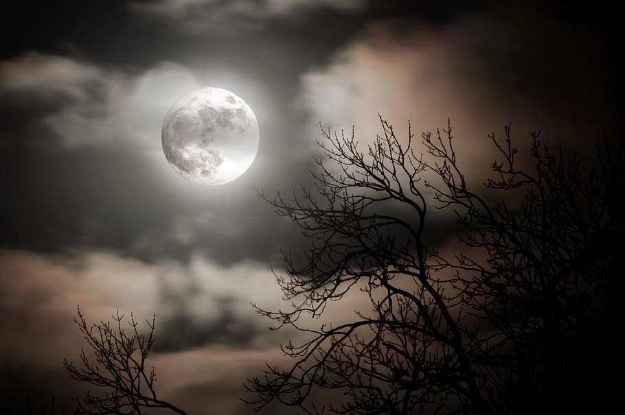moon with clouds, sky, sunset, dusk, nature, dark, silhouette HD wallpaper