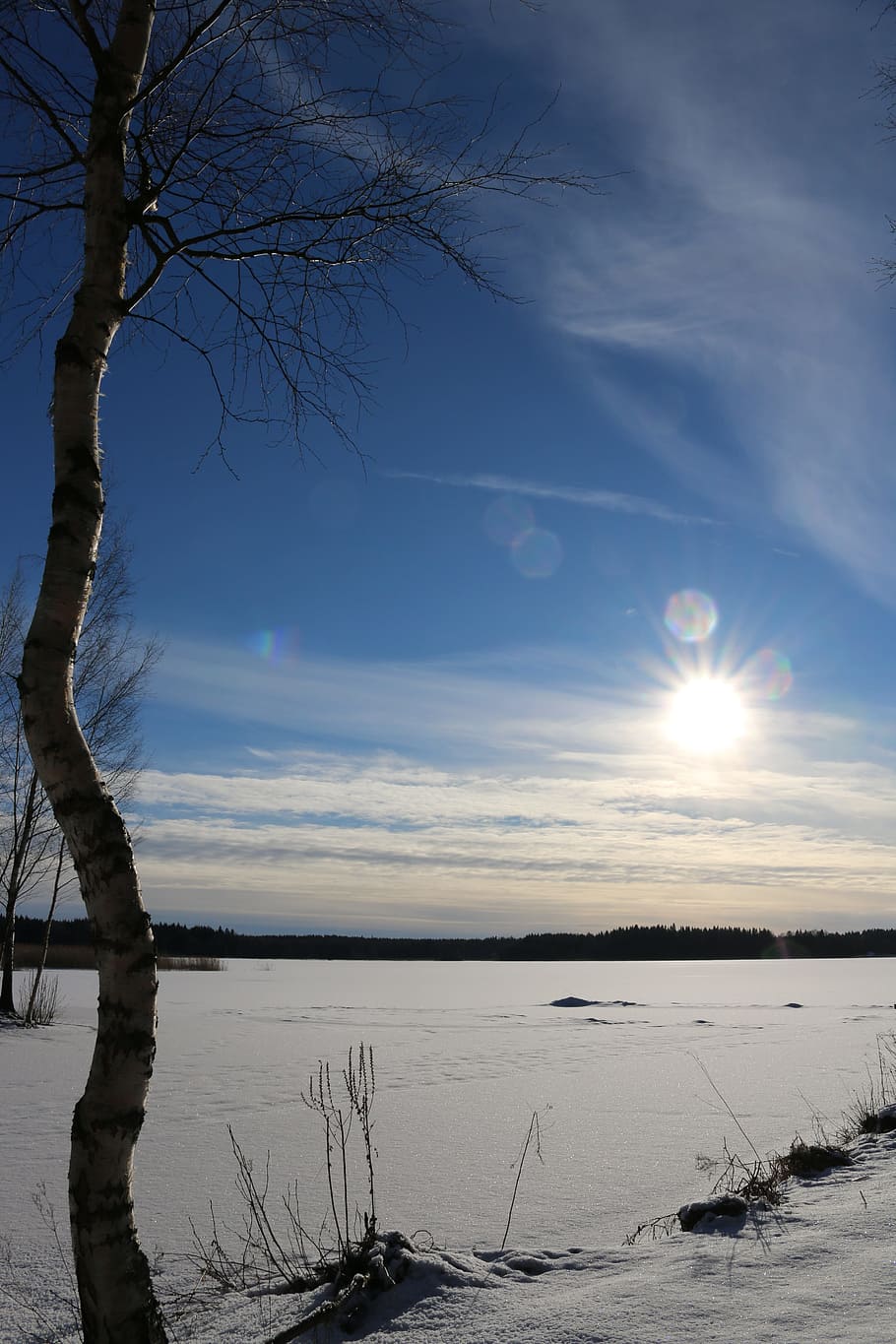 Sun, Spring, Snow, Blue Sky, the spring sun, bare tree, winter HD wallpaper