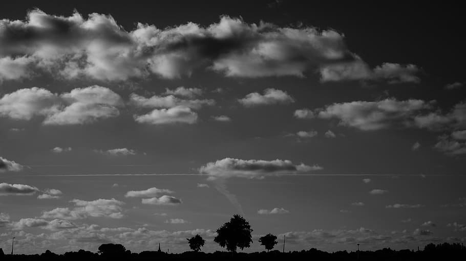 Silhouette of Trees Under Nimbus Clouds during Daytime, black and white HD wallpaper
