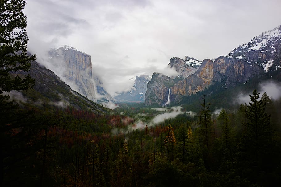 green trees field near gray mountain under gray sky, tall trees and mountains in distance during daytime HD wallpaper