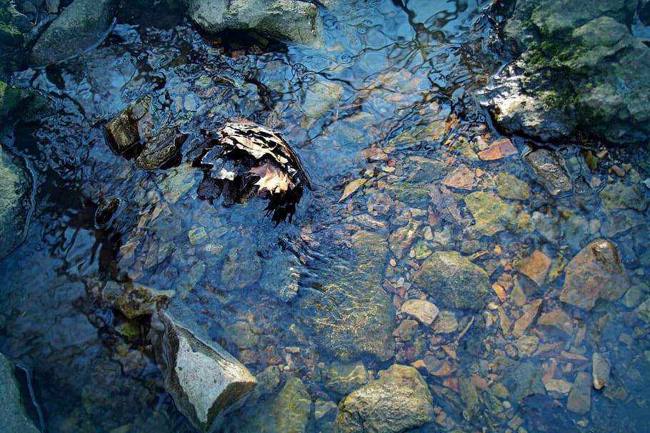 water, stream, creek, nature, flow, wet, blue, motion, white, HD wallpaper
